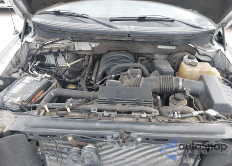 2009 Ford F-150 Xl/Xlt z USA, uszkodzony, nr VIN 1FTRF12819KB23175